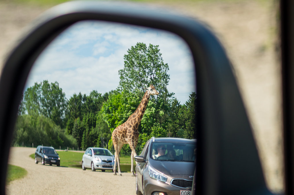 Givskud Zoo