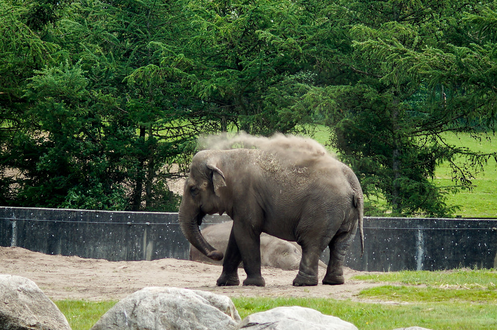 Givskud Zoo